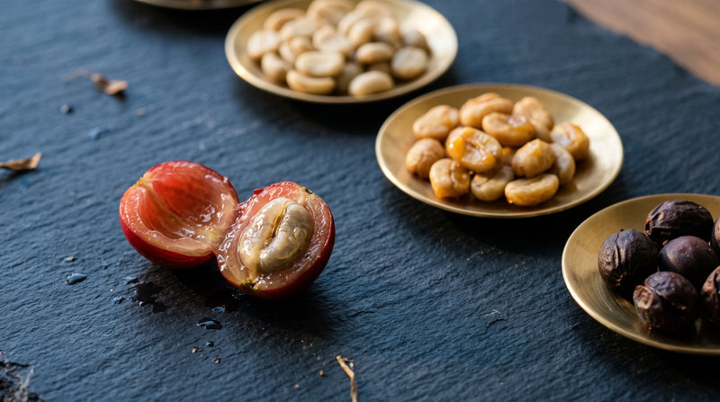 咖啡水洗、日曬、蜜處理有何差別？一張圖搞懂處理法風味與沖煮技巧指南