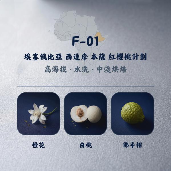 埃塞俄比亞 西達摩 本薩 紅櫻桃計劃 水洗咖啡豆