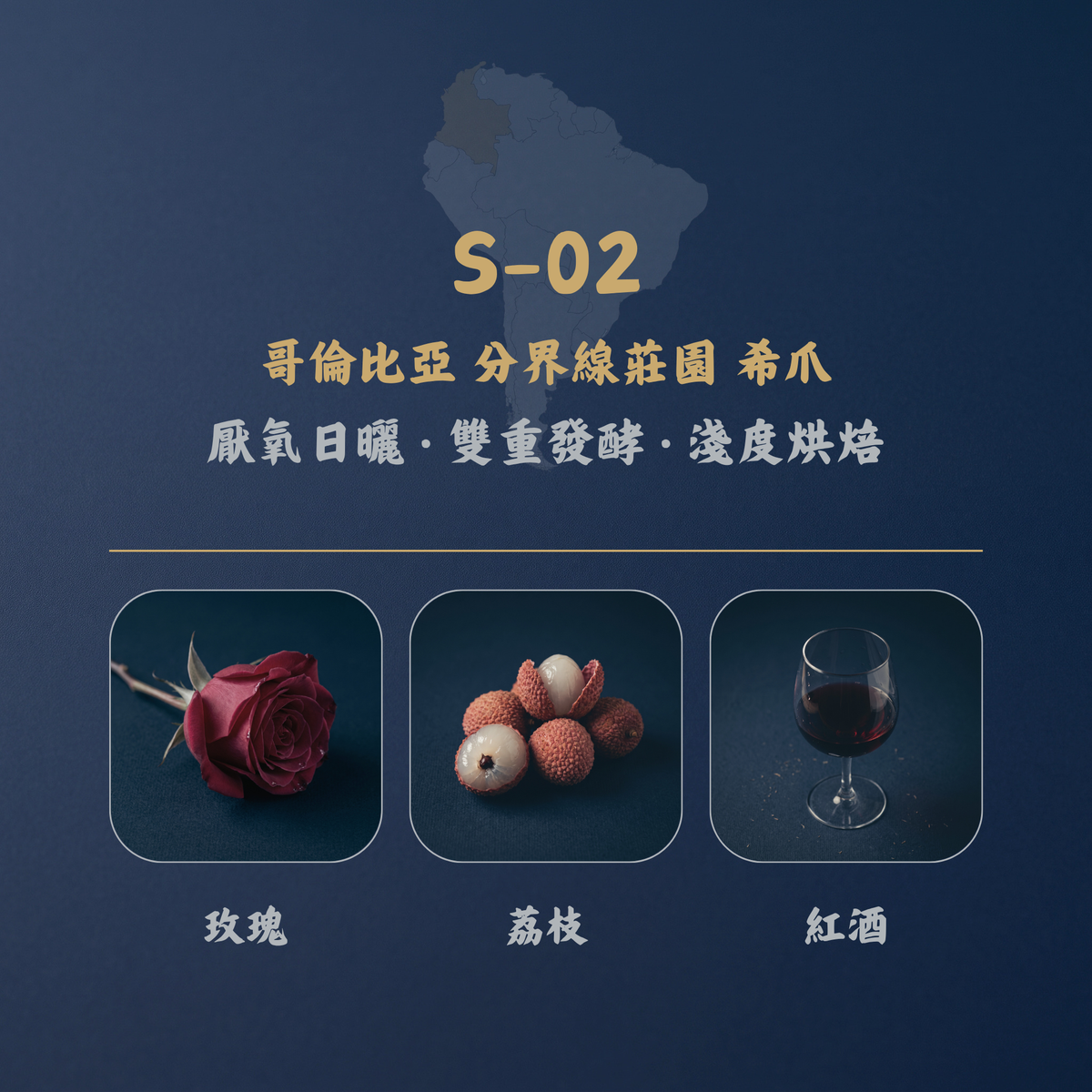 哥倫比亞 分界線莊園 希爪咖啡豆